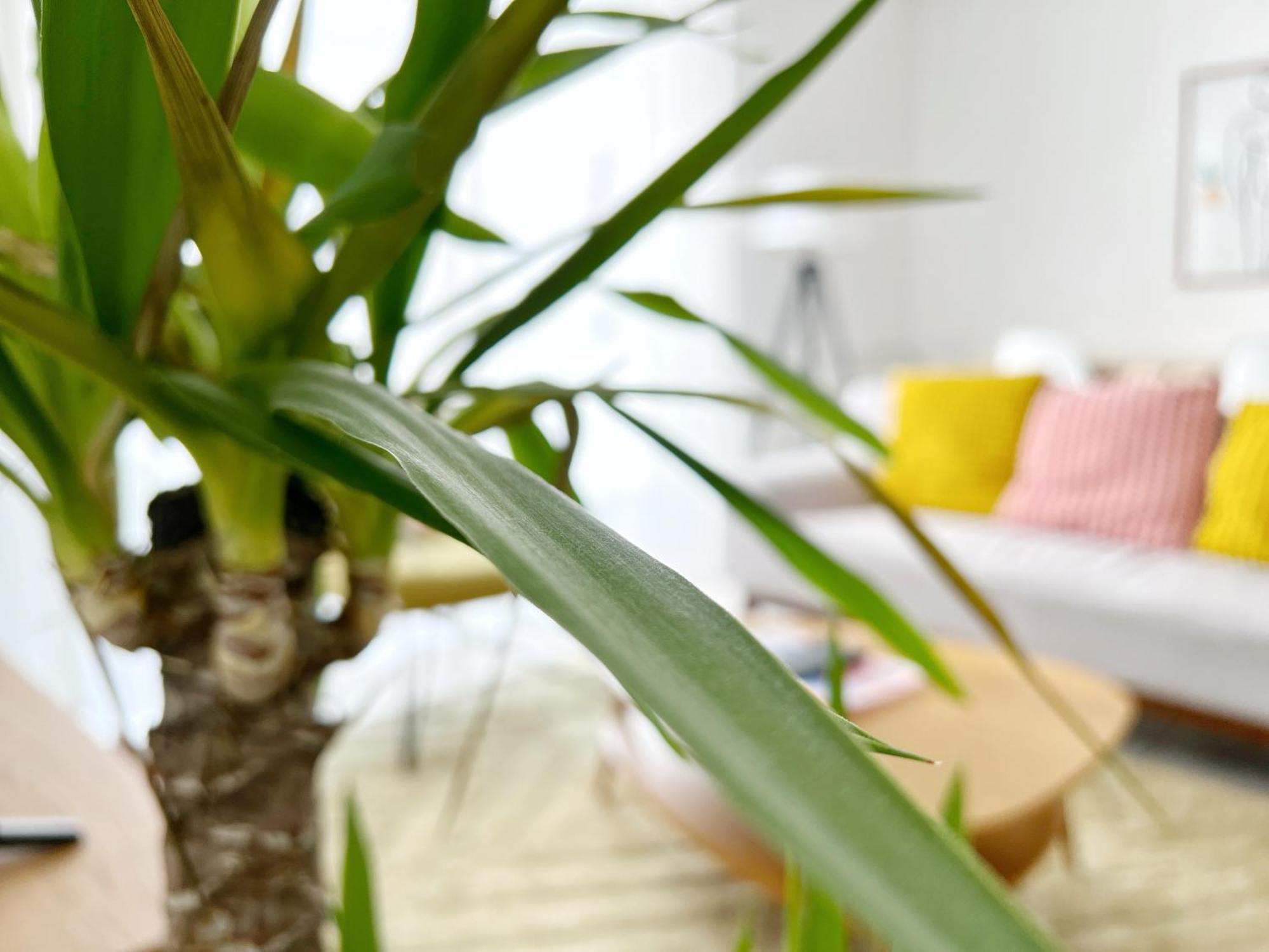 Le Viarm'Elite Appartement Nantes Buitenkant foto